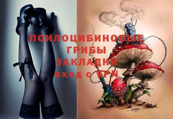 меф Вяземский