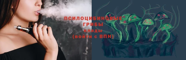 гашик Верхний Тагил