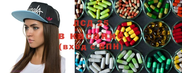 меф Вяземский