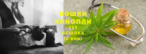 меф Вяземский