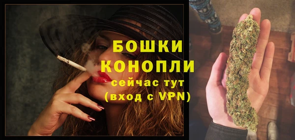 меф Вяземский
