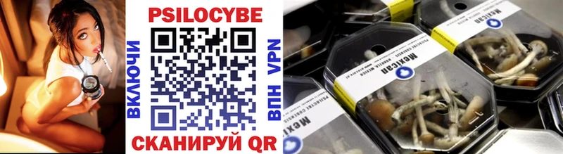 площадка клад купить закладку Верхний Уфалей Псилоцибиновые грибы Psilocybe